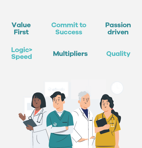 valores efisafe phone view